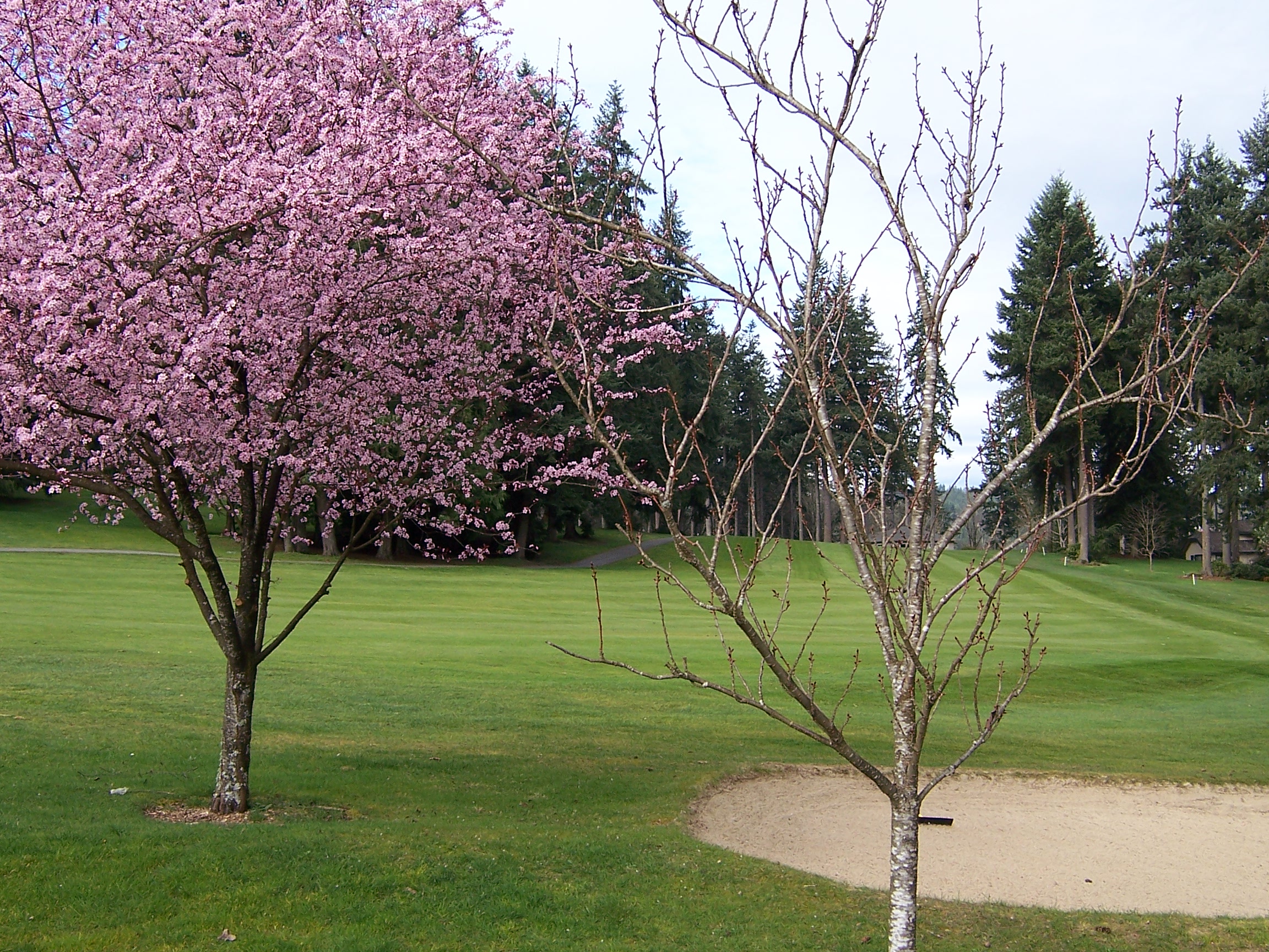 Kitsap Golf & Country Club Photo Gallery